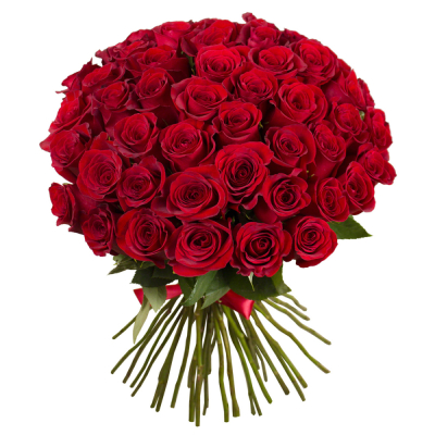 Букет «О, Шарман!» – 51 роскошная эквадорская роза Электросталь Московская область